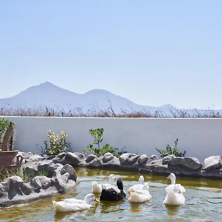 Glarakia Affittacamere