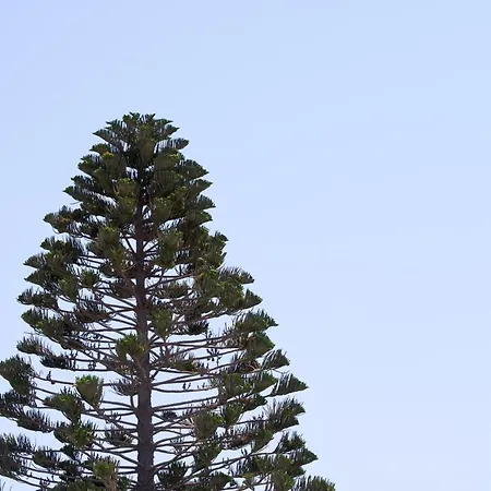 Glarakia Konukevi 4*